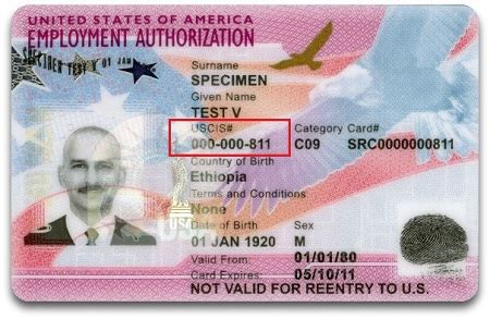 alien registration number on ead card
